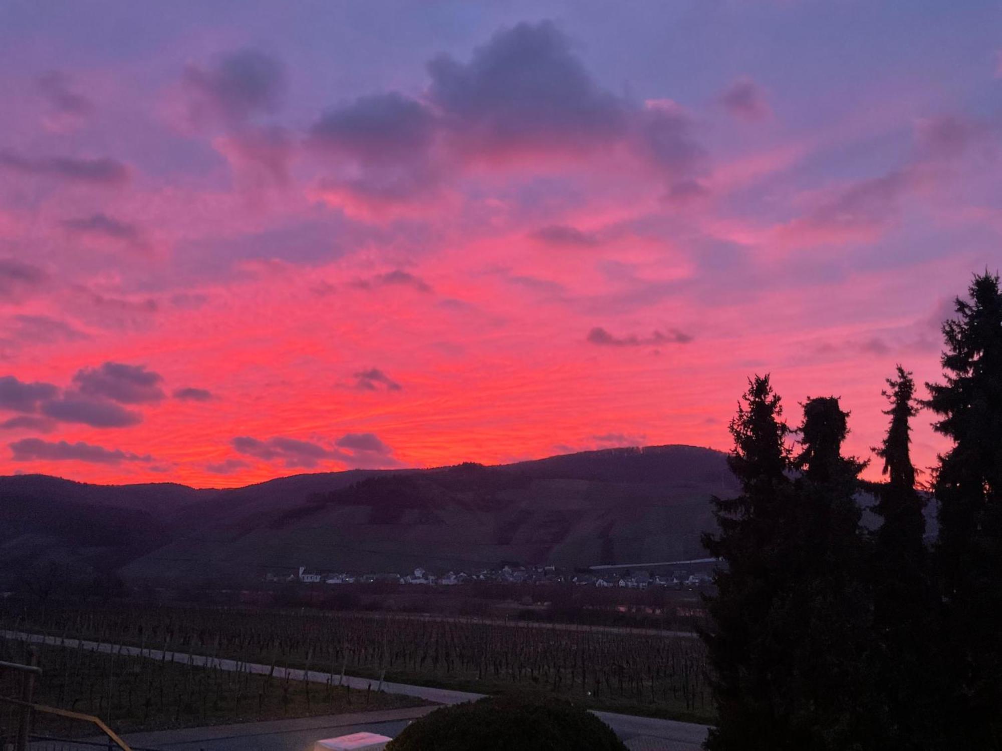 Hotel Weingut Bastian Brauneberg Zewnętrze zdjęcie